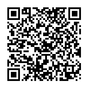 枉叹之在时停之前所站的地方……留下了一个和时间之主拳头差不多大的坑二维码生成