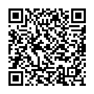 枕在霍凌霄大腿上的女人略微睁开一道眼缝瞥来二维码生成