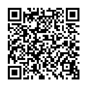 林一干净乌黑头发下的俊脸冷冷的扫了陈景皓一眼二维码生成