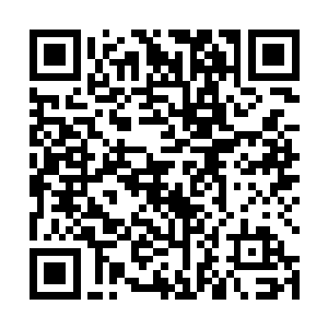 林一道可能还存在着老爷子康复这么一个不现实的期望二维码生成