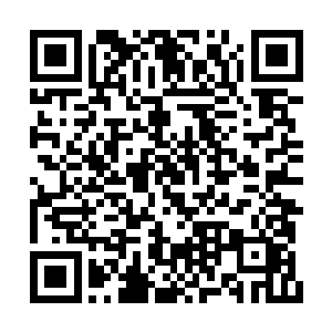 林上风和梁之洞是来看看许紫烟究竟是什么潜力二维码生成