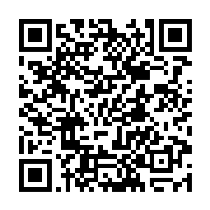 林东其实感觉目光越过自己头部上方五厘米的虚空了二维码生成