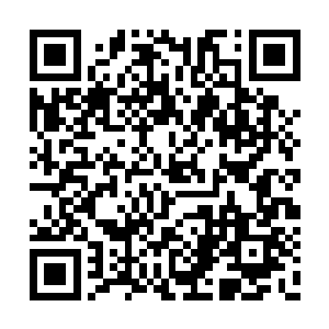 林东这不要脸的还做出一副瑟瑟发抖的模样配合二维码生成