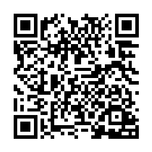 林中卿虽然不知道凌蘭为什么不让他施展绝技秘术二维码生成