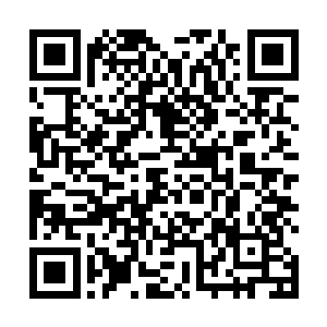 林乐颜和几个穿着联合国和平组织制服的同伴正在忙碌二维码生成
