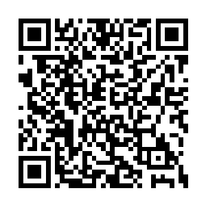 林伯……你这是做什么……你怎么这么冲动……二维码生成