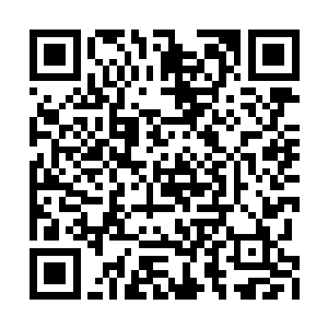 林兄除了在一直尝试着复兴南十字兵团的机关术二维码生成