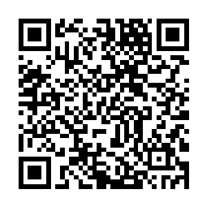 林光山想起了经理告诉自己应该看看专业知识的建议二维码生成