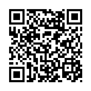 林光山把还带着抗议情绪的贝拉放到沙发上二维码生成