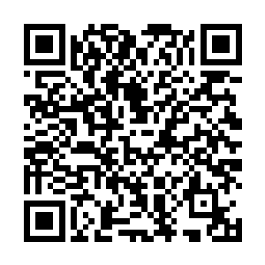 林光山知道游戏公司绝对没有自己任何使用外挂的争取二维码生成