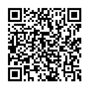 林凤娥远远的在山坡上看着姚满屯果然出门砍柴二维码生成