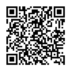 林可儿却又破天荒地收了两个丑逼––起码在世俗的人眼里二维码生成
