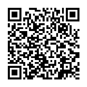 林天元萎顿的身影站在一片黑色的光幕之中虚弱的发出了指令二维码生成