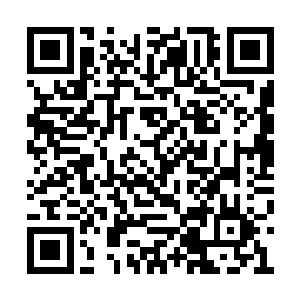 林太妃和谢氏六房的老太太也觉得自己年岁大了二维码生成