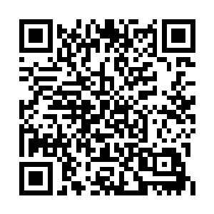 林夫人刚苏醒过来就看到这让人肝胆俱裂的一幕二维码生成