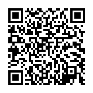 林妈妈并没有因为天道的突然离开而感到有任何的一丝不快二维码生成