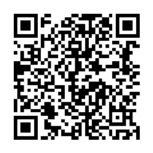 林娴和苏媚分别骑着白玉和黑野马在基地附近的草原上奔驰二维码生成