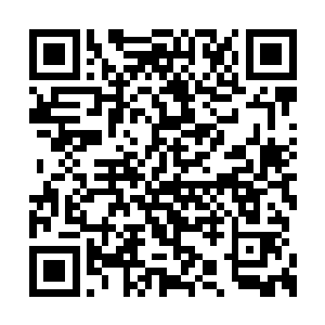 林嬷嬷和魏嬷嬷便一人一个抱着一个襁褓走了进二维码生成