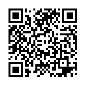 林子里还有些小灌木同样可以用于道路绿化二维码生成