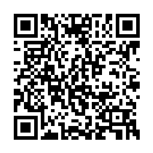 林安这才笑意的和气得乱磨牙齿的阮软挥手告别二维码生成