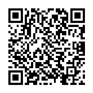林封谨之前胸腹之间的洞穿伤要养个半年才能恢复正常二维码生成
