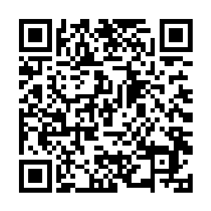 林封谨之前逗留的地方被轰击出来了一个宽达七八丈二维码生成