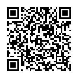 林封谨便将旁边的林家大管事叫了过来耳语了几句二维码生成