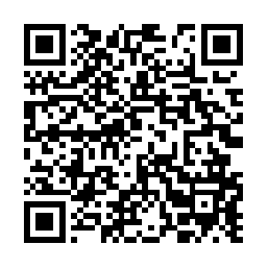 林封谨先前的这一记侧身偏头的闪避已经是被沐恩二维码生成