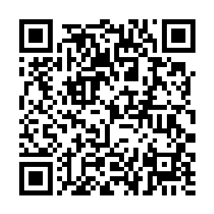 林封谨却是发觉季员外的脸色一下子就变得十分精彩二维码生成