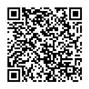林封谨却是见到血将军依然眼巴巴的看着自己手中剩余下来的真钢二维码生成