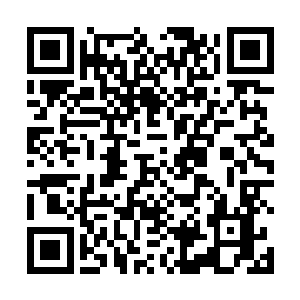 林封谨只觉得自己手背上的汗毛都一根根的竖立了起来二维码生成
