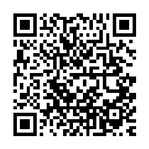 林封谨和敖溪两人已经开始深入到了发源上古毒脉的山谷当中二维码生成