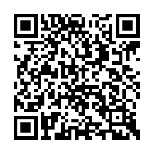 林封谨在腾蛇泽龙舆当中亲身经历过的恐怖杀招二维码生成