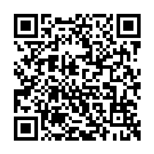 林封谨已经是顾不得再用闷杀的方式扭人脖子了二维码生成