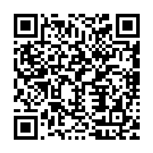 林封谨很干脆的将狗王处获得的五个妖星命格单位选择了同化二维码生成