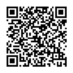 林封谨忽然想起来了手中还有两片巨木供奉上来的菩提树叶二维码生成