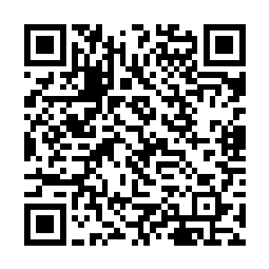 林封谨所在的这一处包厢上的卷席一下子就落了下来二维码生成