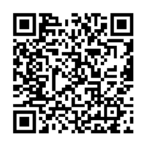 林封谨显然也很不喜欢自己的脑袋被攥在了爪子里面二维码生成