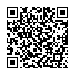 林封谨终于将广场上的公益设施和休闲环境直接开放二维码生成