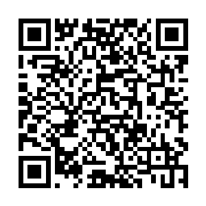 林封谨若是在公平的环境下与其进行不死不休的战斗二维码生成