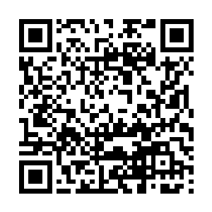 林封谨顿时就回想起来了那一大片死气沉沉的黑色荷花塘二维码生成