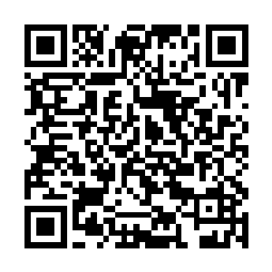 林封顺嘴用在辛亥战争同人小说里面看到的理由胡扯二维码生成