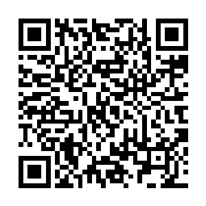 林小乖倒是知道袁太太和之前那些借机想要揩油的人家不同二维码生成