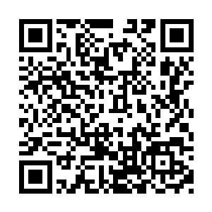 林小乖做主让他在至心园的别墅区挑了一栋别墅二维码生成