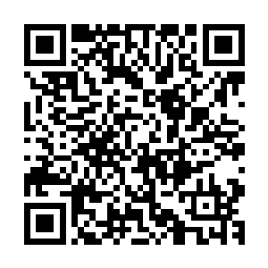 林小乖只是和四个哥哥断绝关系的行为在她眼里就是一种懦弱二维码生成