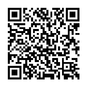 林小猫和林小鱼她虽然也是和对林小鸟一般对待二维码生成