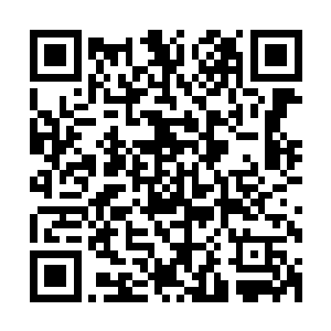 林小璐回来后又将邓铮的歌曲和武术表演描述得天上有地上无二维码生成