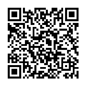 林尚和林滔天听到这话几乎有点不敢相信自己的耳朵二维码生成