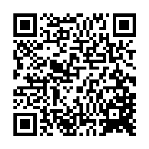 林尚和林滔天看到白商仙人自称小仙就已经惊得目瞪口呆了二维码生成