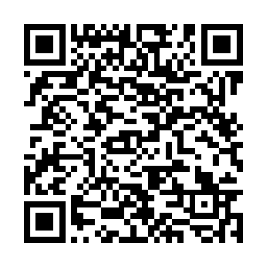 林尚见夏云杰转手就赠送给了他们两件仙器和周元二维码生成